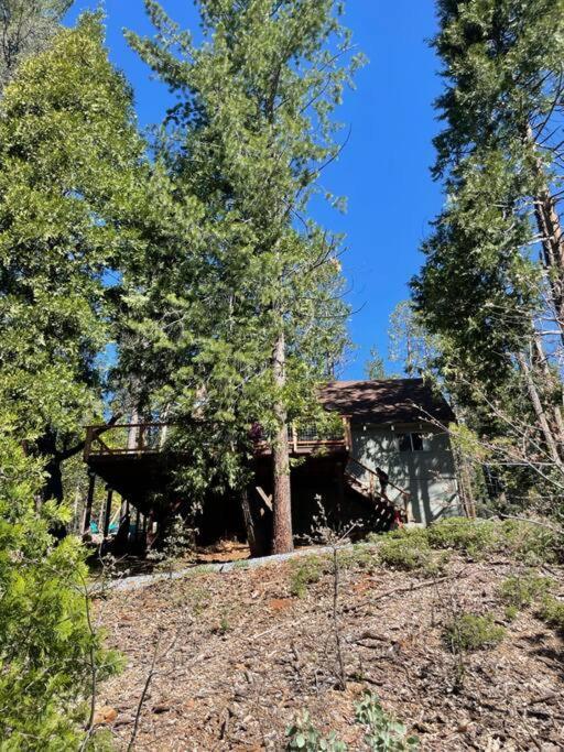 Lakeside Bls Retreat Near Big Trees & Bear Valley Villa Arnold Exterior photo